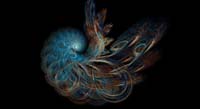 s-Apophysis-110324-9